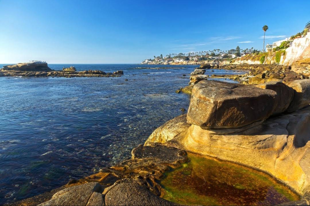 Bird Rock