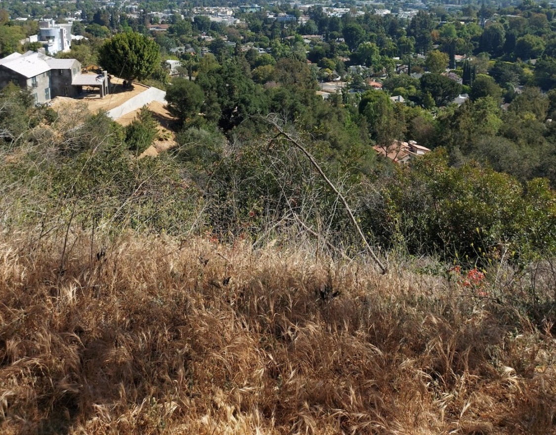 Los Angeles Live Music Venues