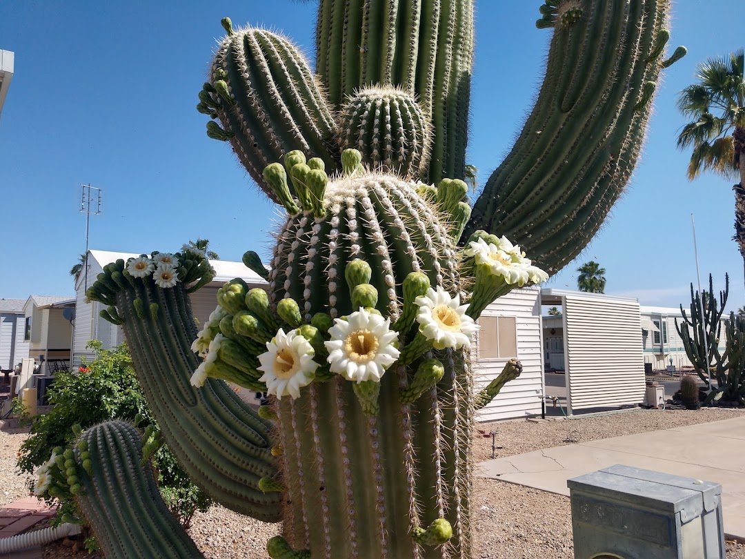Happy Trails Resort