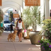 La Jolla Village Merchants Association