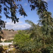 Churon Winery