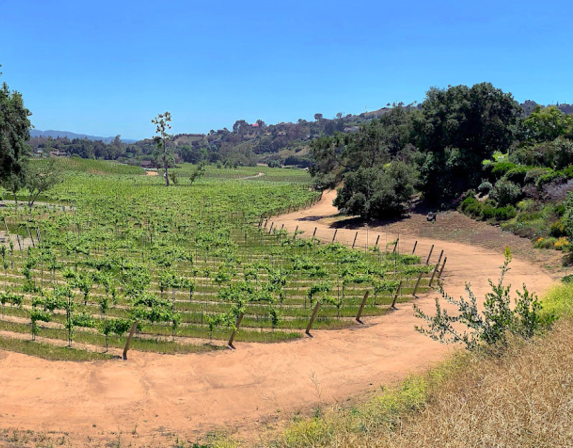 Live Music at Monserate Winery | Fallbrook Live Music Venues on GigTown