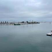 955 Harbor Island Dr