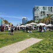 Lane Field Park Market