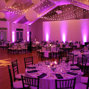 The Cuvier Club